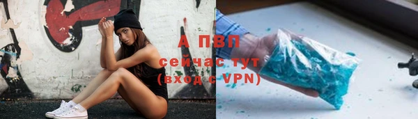 ГАЛЛЮЦИНОГЕННЫЕ ГРИБЫ Строитель