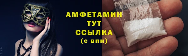 ГАЛЛЮЦИНОГЕННЫЕ ГРИБЫ Строитель