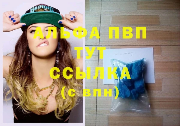 ГАЛЛЮЦИНОГЕННЫЕ ГРИБЫ Строитель