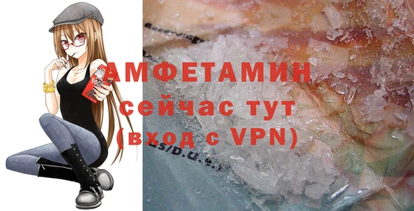 ГАЛЛЮЦИНОГЕННЫЕ ГРИБЫ Строитель