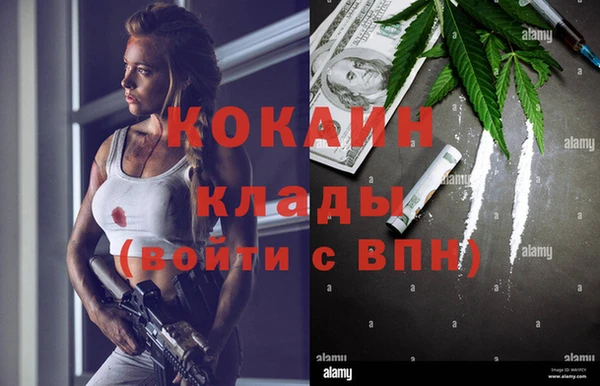ГАЛЛЮЦИНОГЕННЫЕ ГРИБЫ Строитель